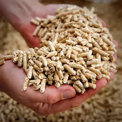 pellet el portal